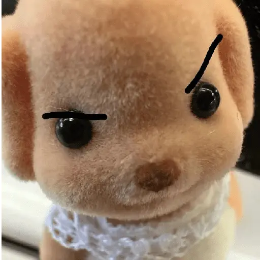 TERNURINES 🦊🤎