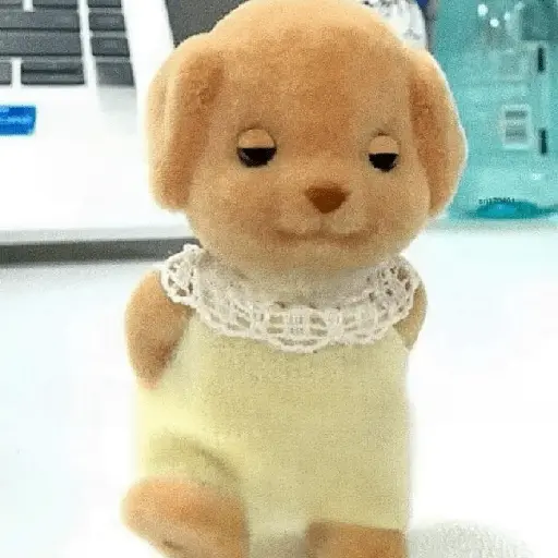 TERNURINES 🦊🤎