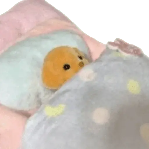 TERNURINES 🦊🤎