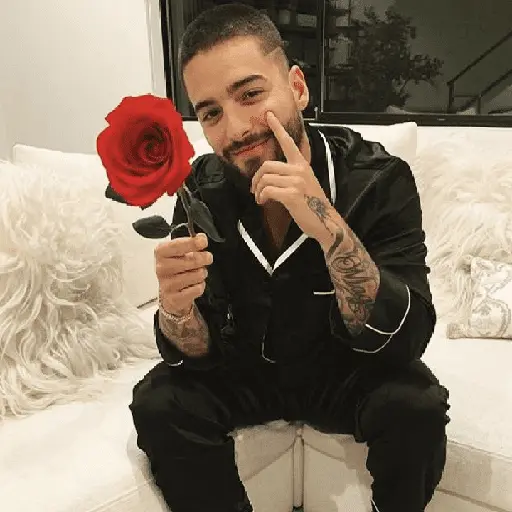 ❀ᮬ🥷⣧ ᩡᩡ Maluma !©️Pochis 