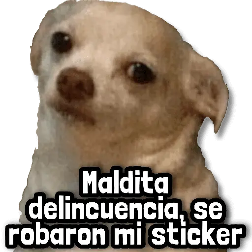 🎯 Stickers sin Filtro! #➏