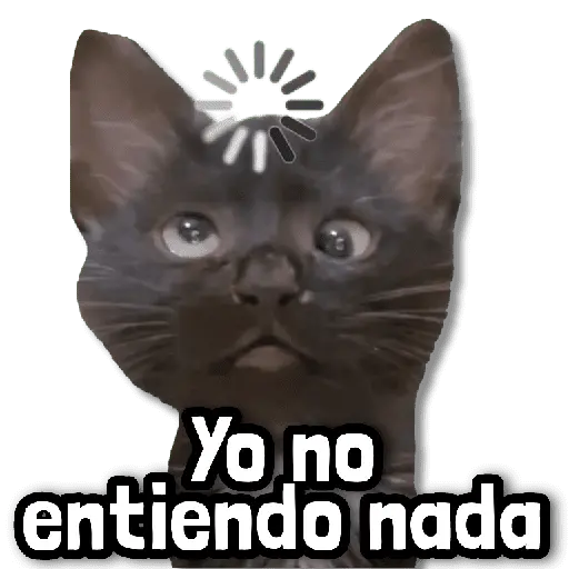 🎯 Stickers sin Filtro! #➏