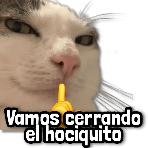🎯 Stickers sin Filtro! #➏