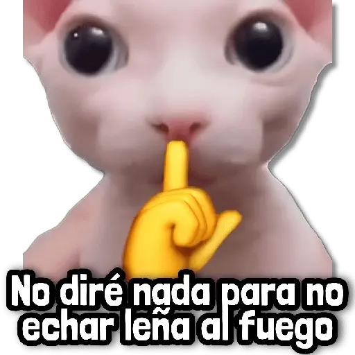 🎯 Stickers sin Filtro! #➏