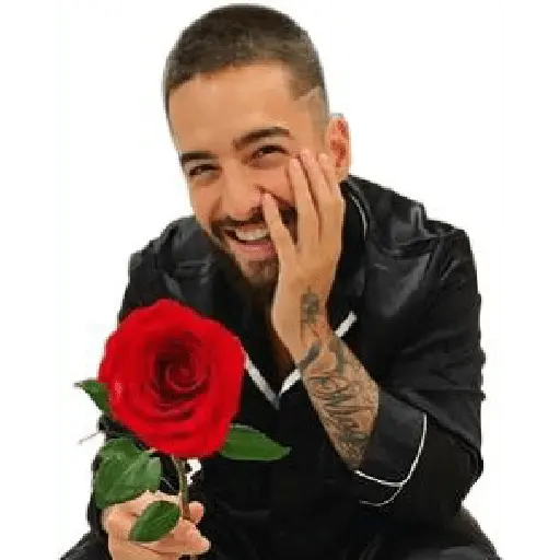 maluma beibi