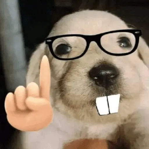 Mood pal perro 🐕🌭