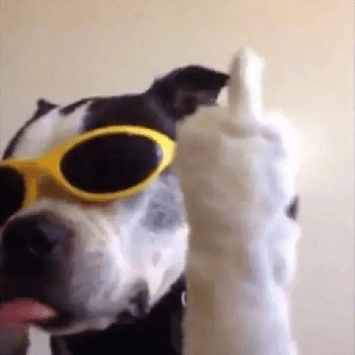 Mood pal perro 🐕🌭 preview