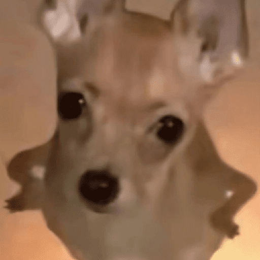 Mood pal perro 🐕🌭 preview