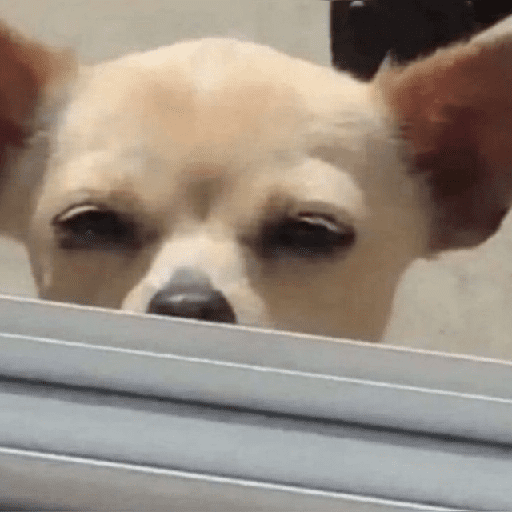 Mood pal perro 🐕🌭 preview