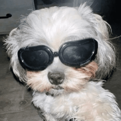 Mood pal perro 🐕🌭 preview