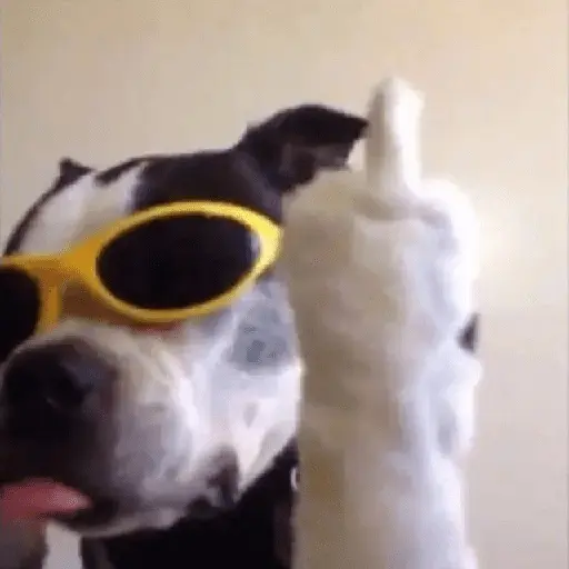 Mood pal perro 🐕🌭
