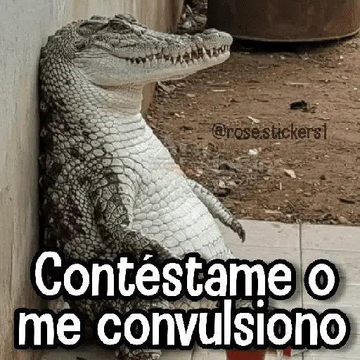 Memes de Animales🪴⭐