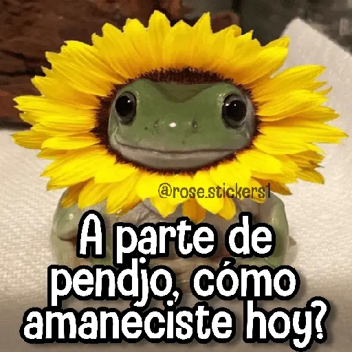 Memes de Animales🪴⭐