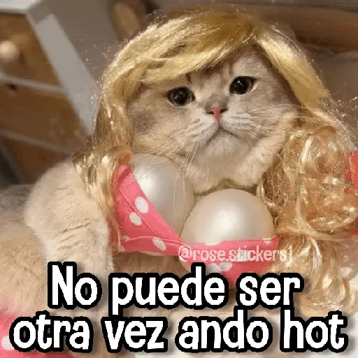 Memes de Animales🪴⭐