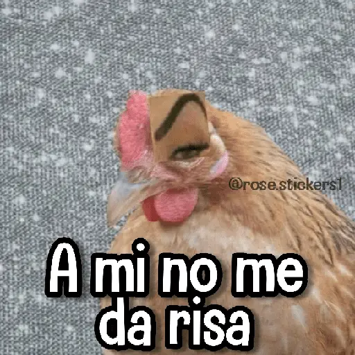 Memes de Animales🪴⭐