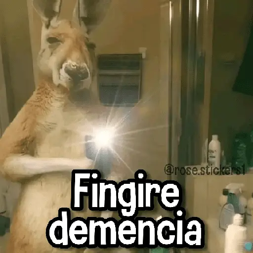 Memes de Animales🪴⭐
