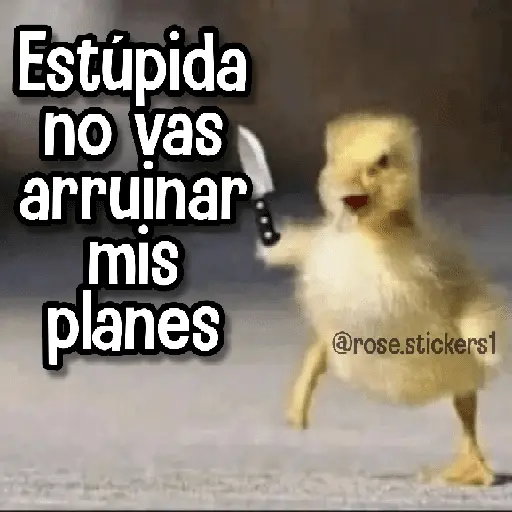 Memes de Animales🪴⭐