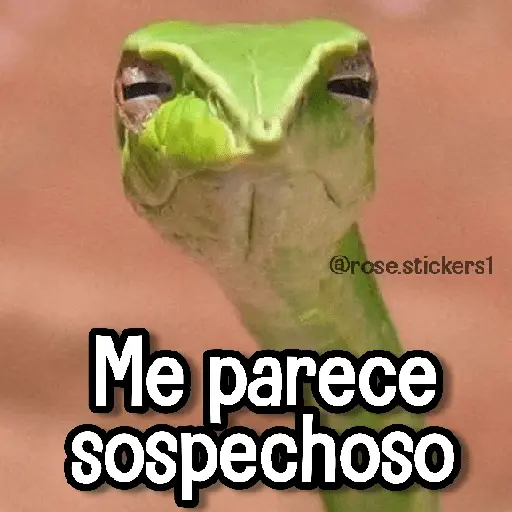 Memes de Animales🪴⭐