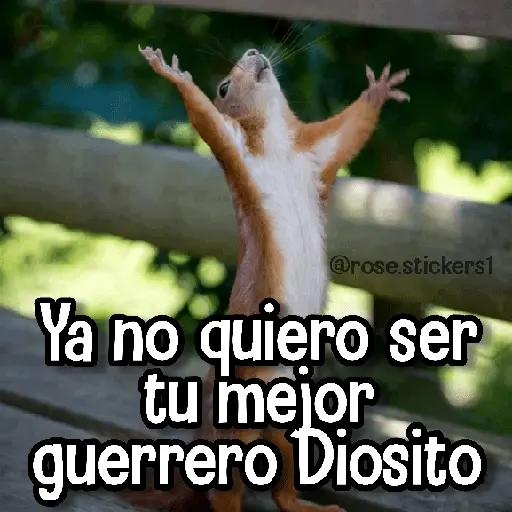 Memes de Animales🪴⭐