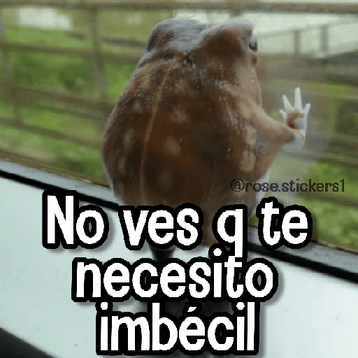 Memes de Animales🪴⭐ preview