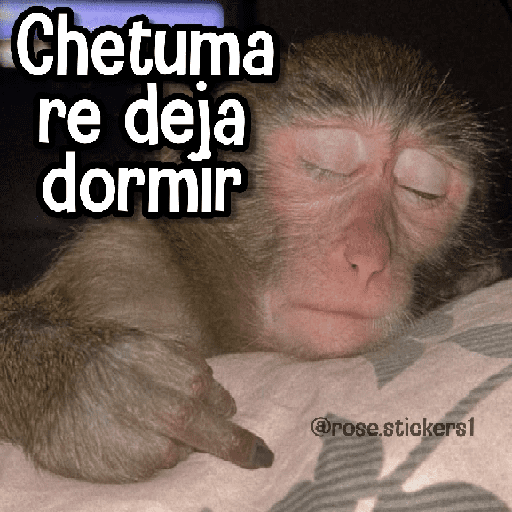 Memes de Animales🪴⭐ preview