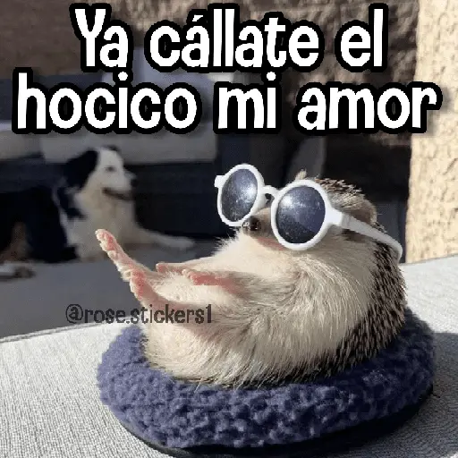 Memes de Animales🪴⭐