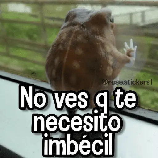 Memes de Animales🪴⭐