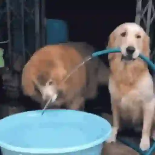 Tá muito calor!!🥵