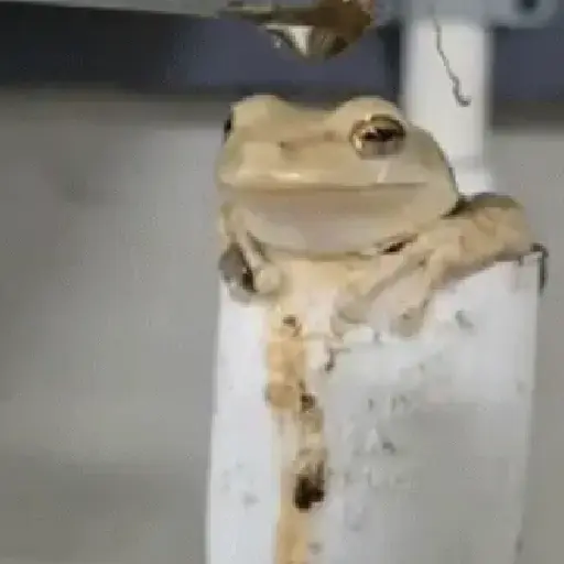 Tá muito calor!!🥵