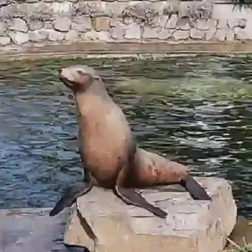 Tá muito calor!!🥵