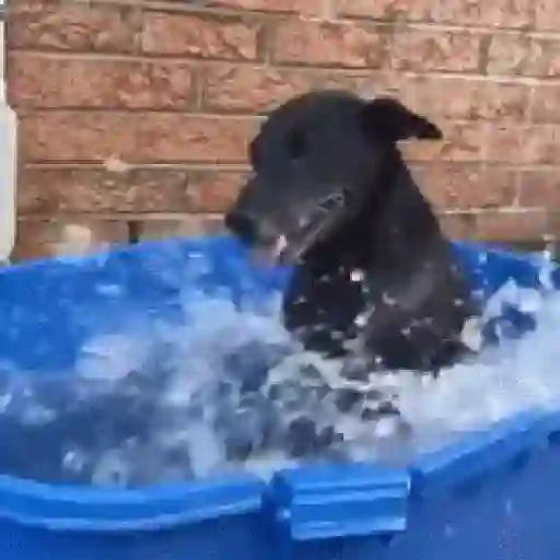 Tá muito calor!!🥵