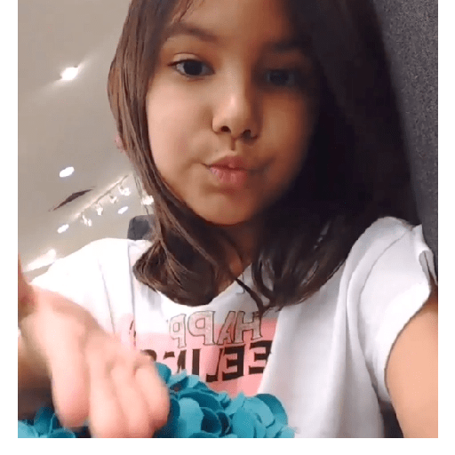 Ana Emilia  preview