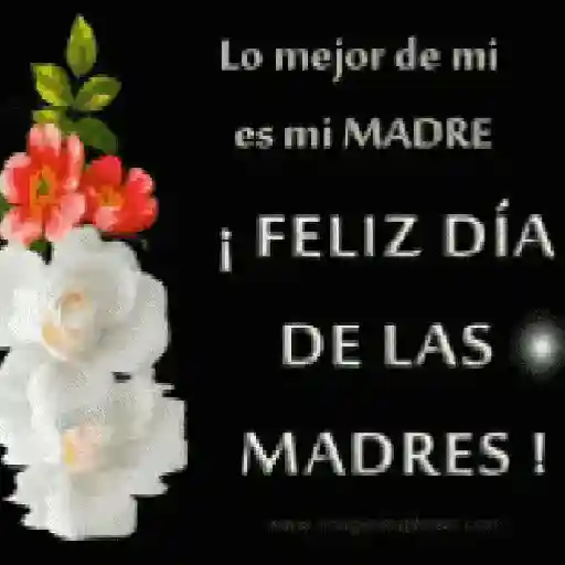 Día de las Madres💕💐 preview