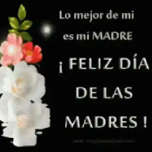 Día de las Madres💕💐