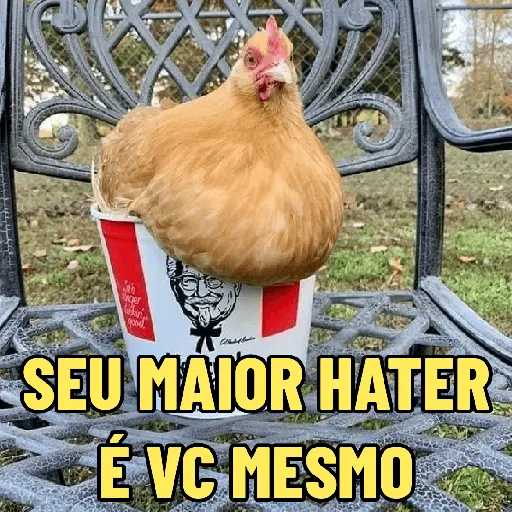 GALINHAS DEBOCHADAS 🐔