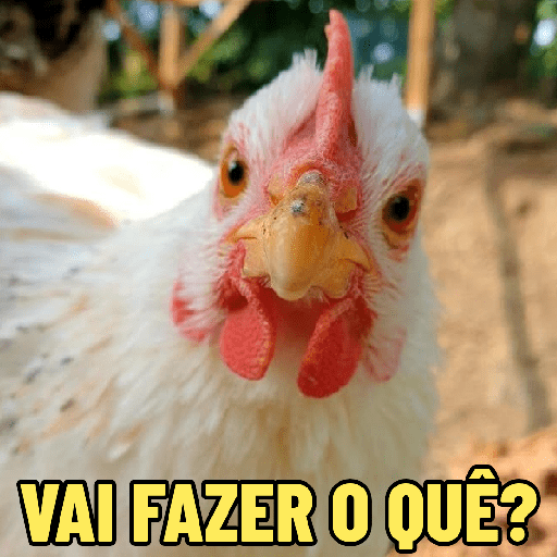 GALINHAS DEBOCHADAS 🐔 preview