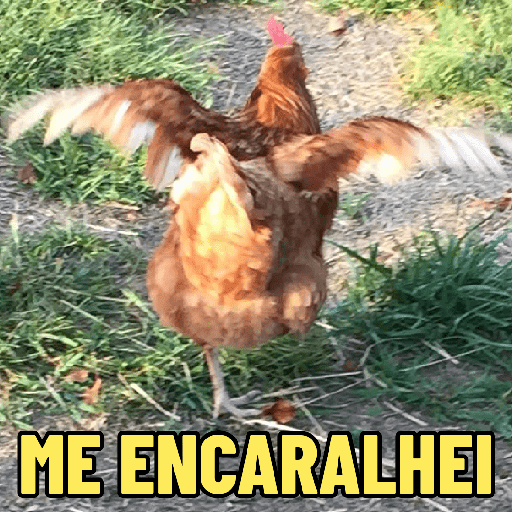 GALINHAS DEBOCHADAS 🐔 preview