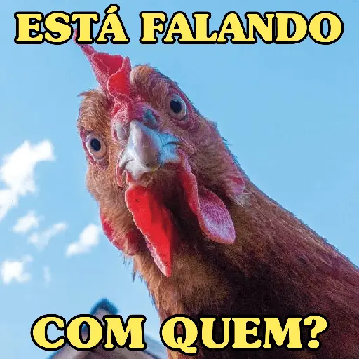 GALINHAS DEBOCHADAS 🐔