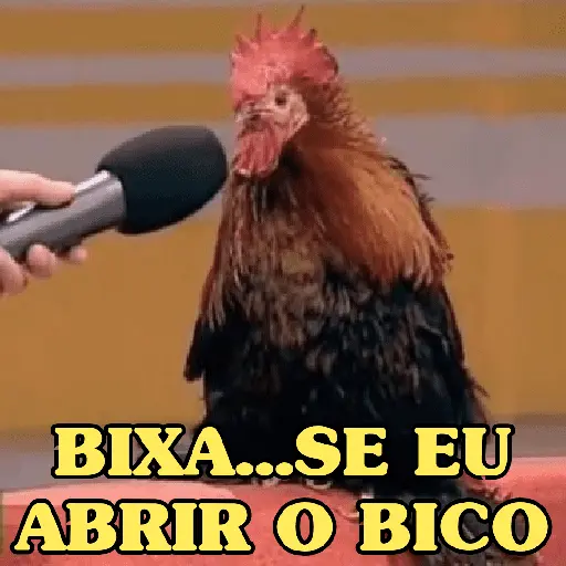 GALINHAS DEBOCHADAS 🐔