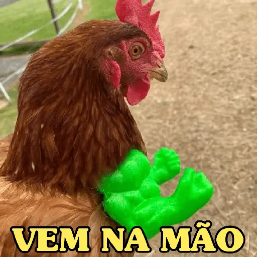 GALINHAS DEBOCHADAS 🐔