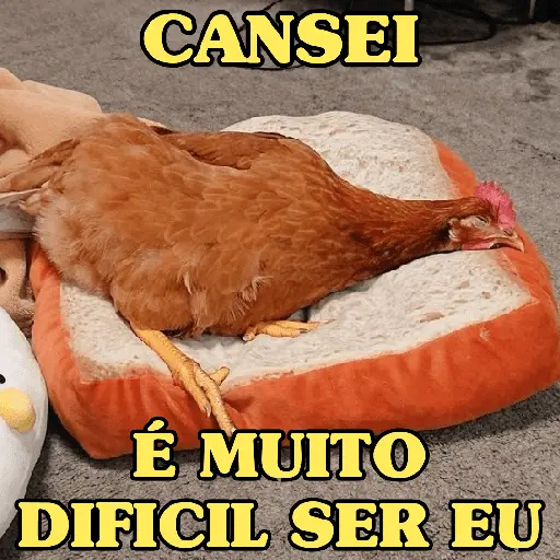 GALINHAS DEBOCHADAS 🐔
