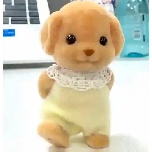 TERNURINES 🐻❣️