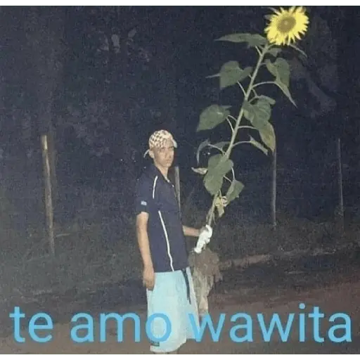 Memes chilenos