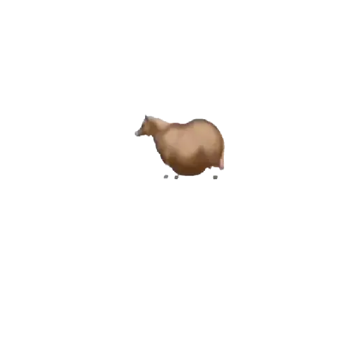 Fat horse 🐴🐎