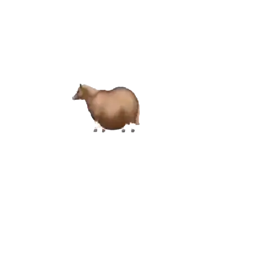 Fat horse 🐴🐎