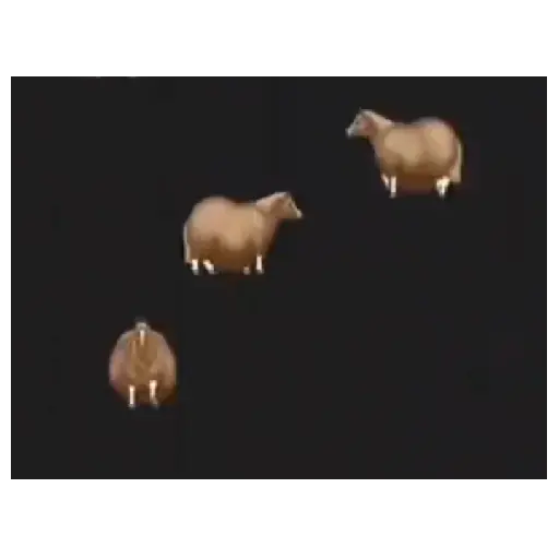 Fat horse 🐴🐎