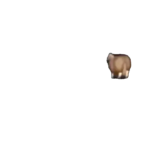 Fat horse 🐴🐎