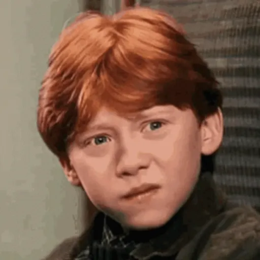 🧹 HARRY POTTER 🧹