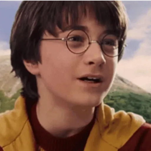 🧹 HARRY POTTER 🧹