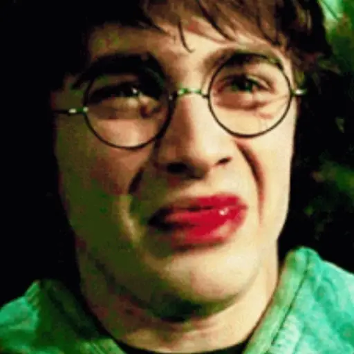 🧹 HARRY POTTER 🧹